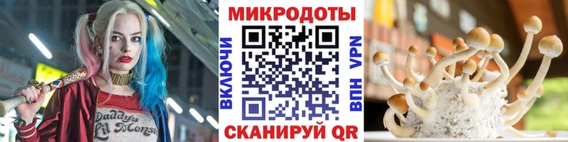 Галлюциногенные грибы MAGIC MUSHROOMS  ОМГ ОМГ   Арзамас 